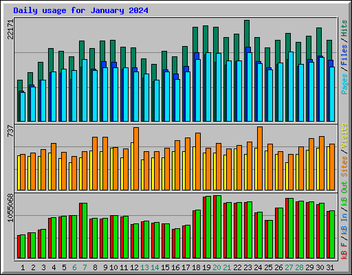 Daily usage for January 2024