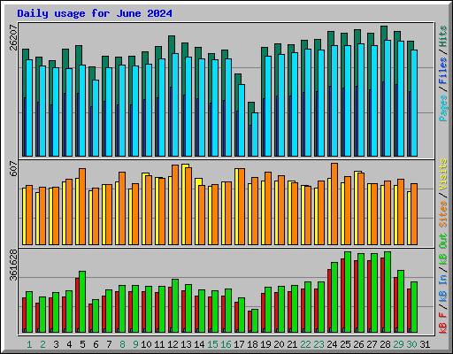 Daily usage for June 2024