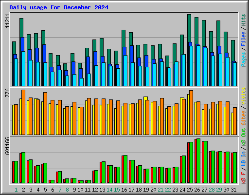 Daily usage for December 2024