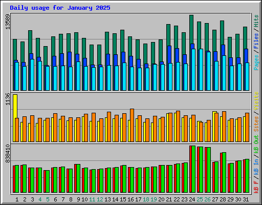 Daily usage for January 2025