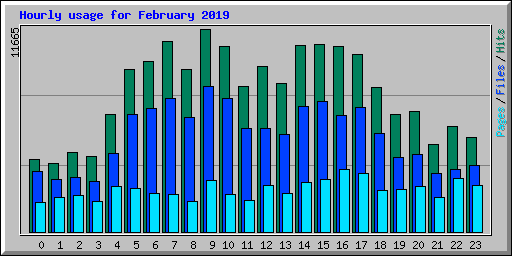 Hourly usage for February 2019