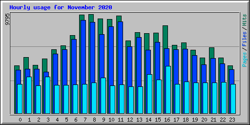 Hourly usage for November 2020