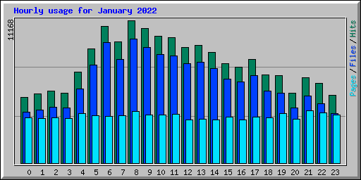 Hourly usage for January 2022