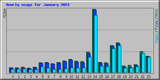 Hourly usage for January 2023