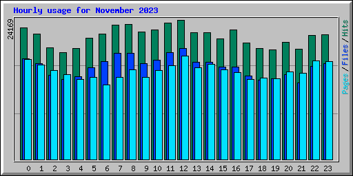 Hourly usage for November 2023
