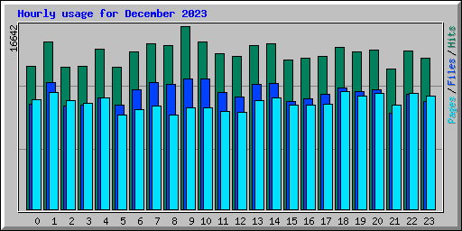 Hourly usage for December 2023