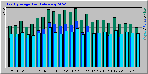 Hourly usage for February 2024