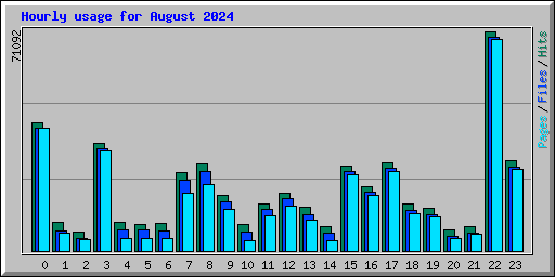 Hourly usage for August 2024