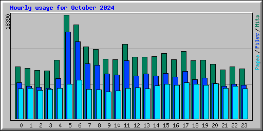 Hourly usage for October 2024