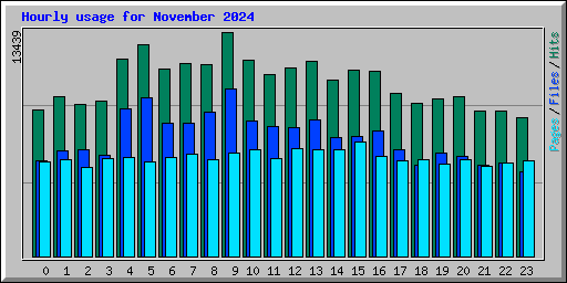 Hourly usage for November 2024