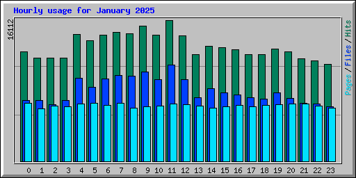 Hourly usage for January 2025