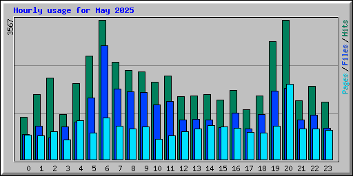 Hourly usage for May 2025