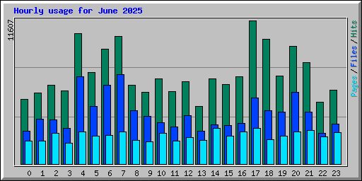 Hourly usage for June 2025