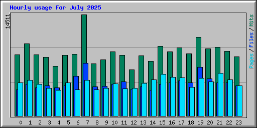 Hourly usage for July 2025