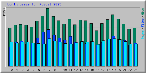 Hourly usage for August 2025