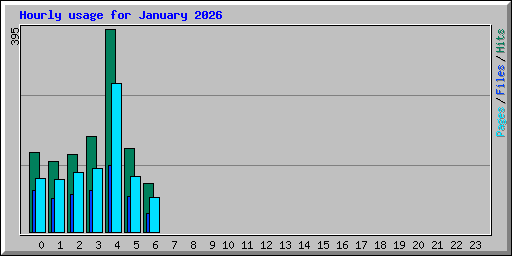 Hourly usage for January 2026