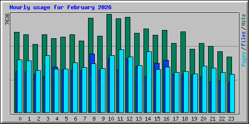 Hourly usage for February 2026