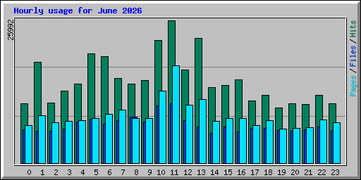 Hourly usage for June 2026