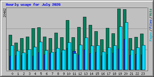 Hourly usage for July 2026